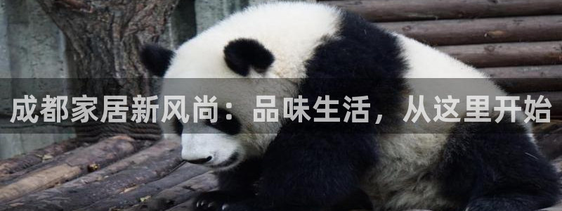 球盟会有限公司怎么样