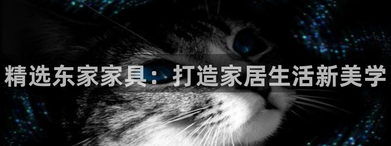 球盟会黑台子吗