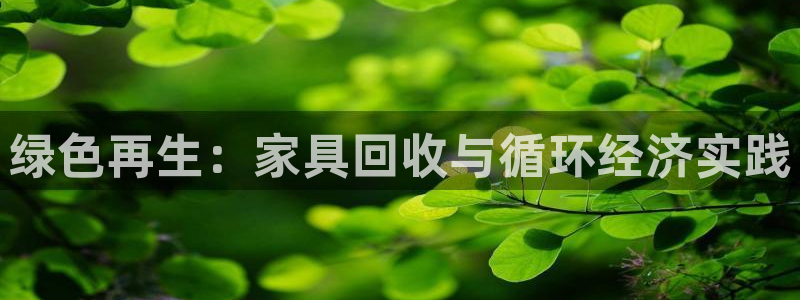 球盟会几点玩合适