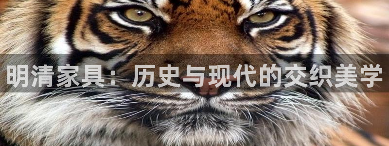 球盟会最新地址备用