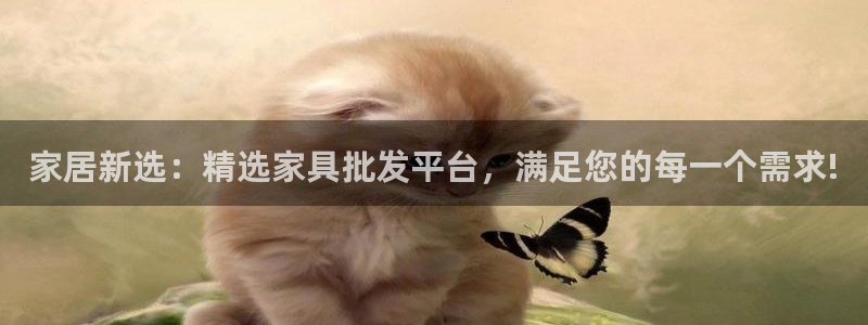 球盟会下款快吗