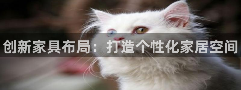 球盟会进不去吗