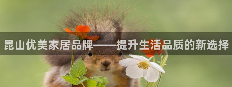 球盟会官方登录平台