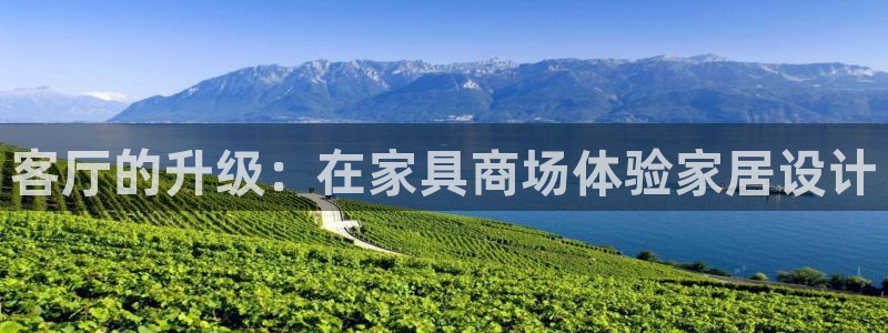 球盟会qm9