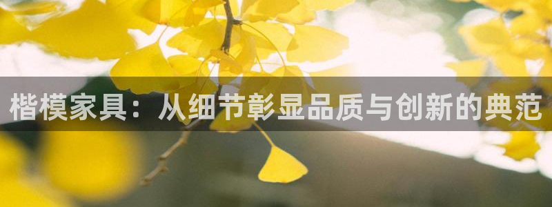 球盟会qm9