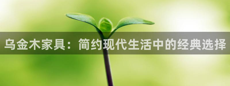 球盟会app最新地址在哪