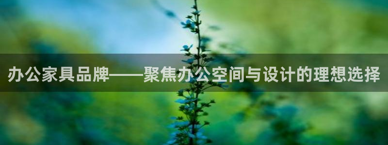球盟会可靠不
