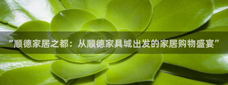 球盟会最新地址备用