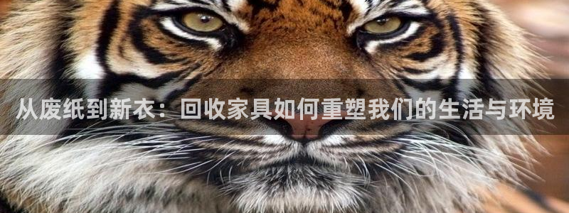 球盟会app最新地址在哪看