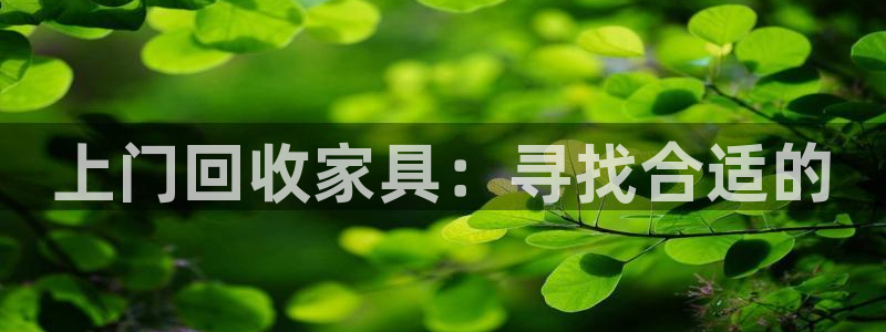 球盟会网址多少