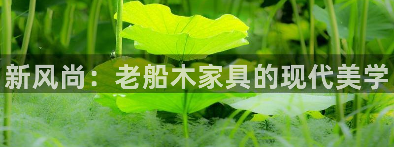 球盟会qmh网页版登录 - qm球盟会官方网站