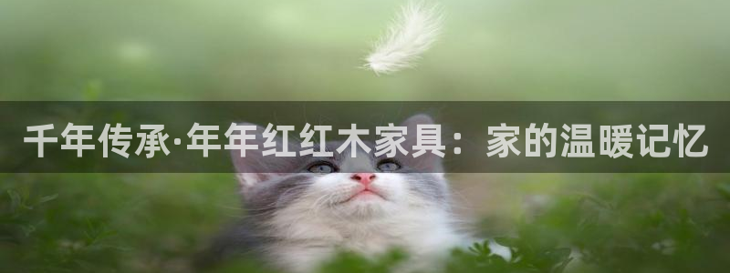 球盟会唯一