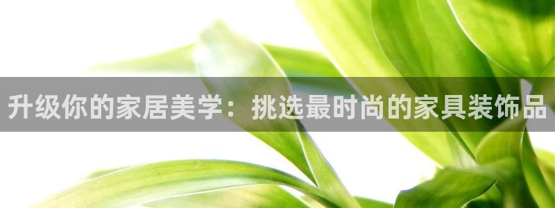 球盟会吧：升级你的家居美学：挑选最时尚的家具装饰品