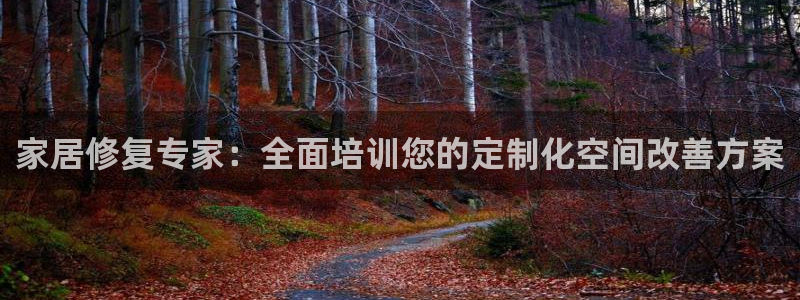 球盟会进不去球员吗