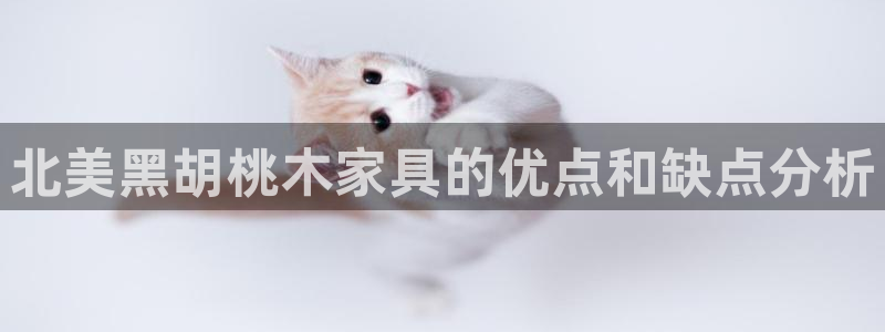 球盟会官方app首页入口