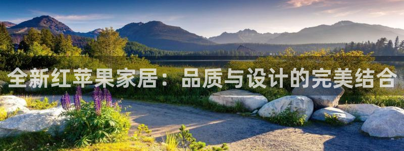 球盟会有限公司怎么样：全新红苹果家居：品质与设计的完美结合