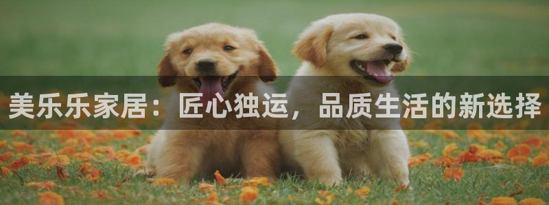 球盟会黑台子