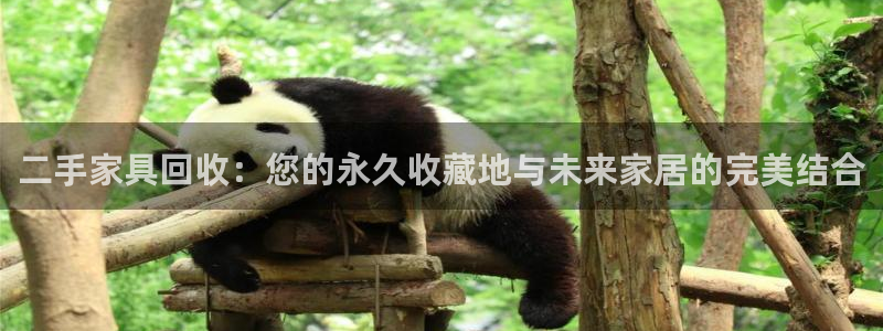 球盟会官网入口