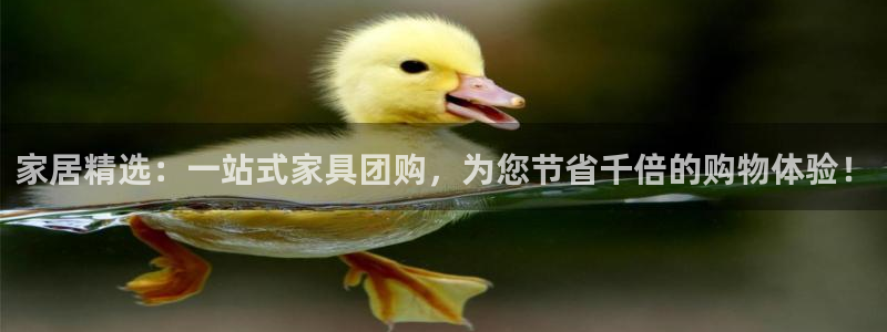 球盟会中国网页登录：家居精选：一站式家具团购，为您节省千倍的