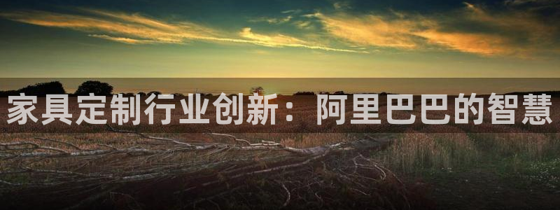 球盟会邮箱