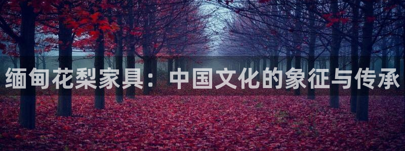 球盟会几点玩合适