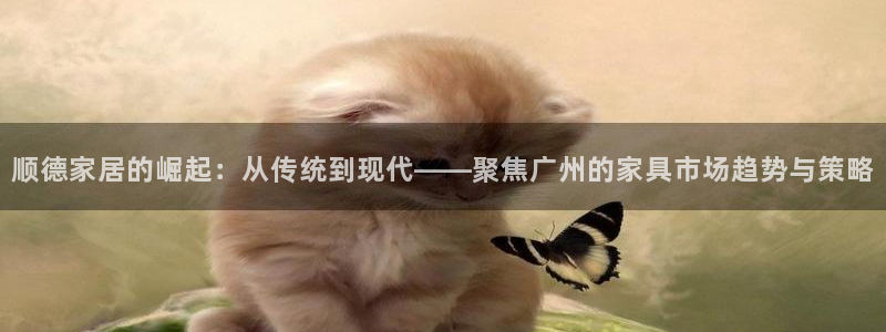 球盟会能提现吗