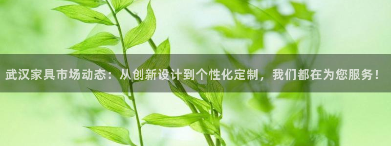 球盟会官网登录入口：武汉家具市场动态：从创新设计到个性化定制