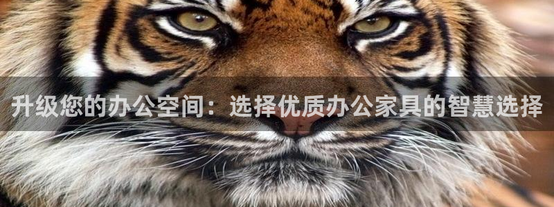 球盟会进不去