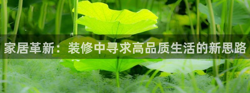 球盟会官方登录平台