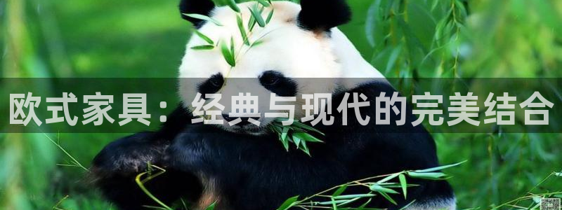 球盟会电子好下吗