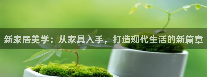 球盟会平台怎么样