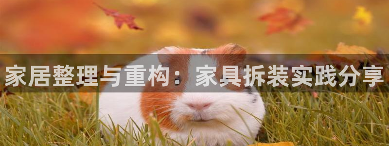 球盟会网页登录：家居整理与重构：家具拆装实践分享