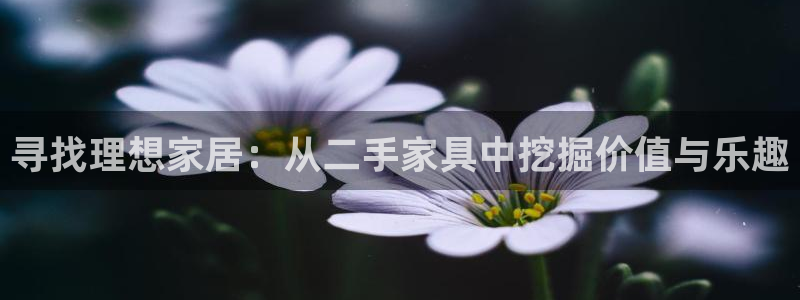 球盟会电子好黑