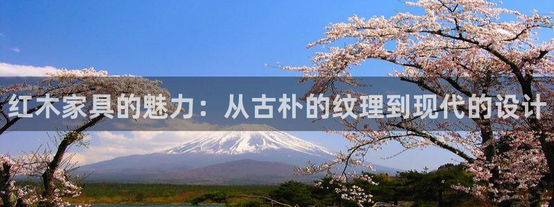 球盟会在线登录官网