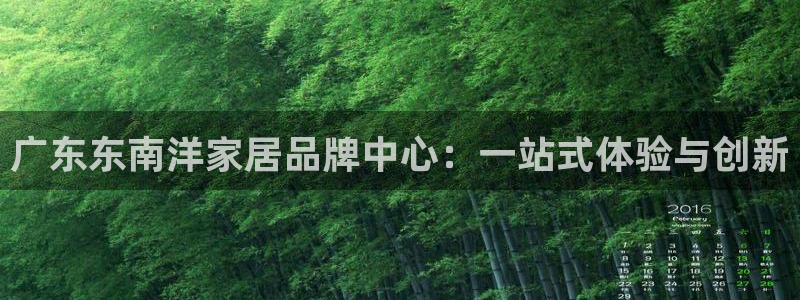 球盟会网页登录入口：广东东南洋家居品牌中心：一站式体验与创新