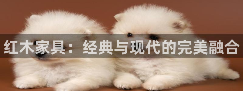 球盟会网页版登陆