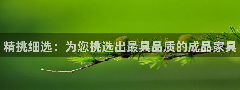 球盟会app最新地址下载安装