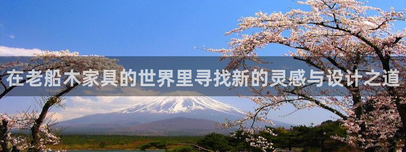 球盟会进不去球员吗