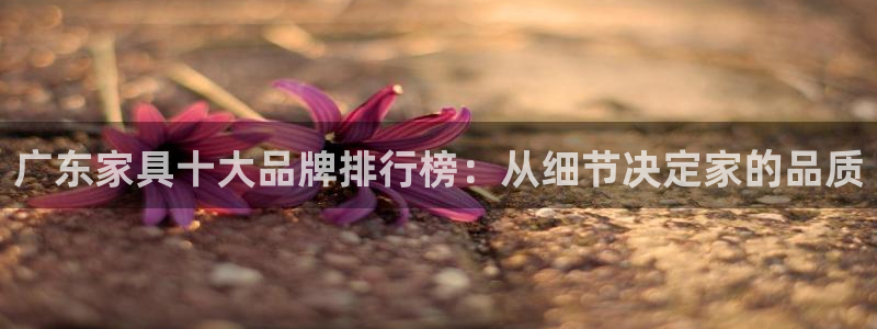 球盟会有没有黑单的活动