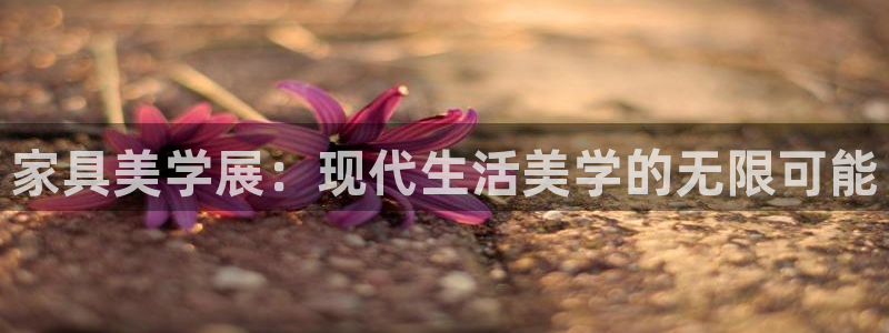 球盟会官方最新入口