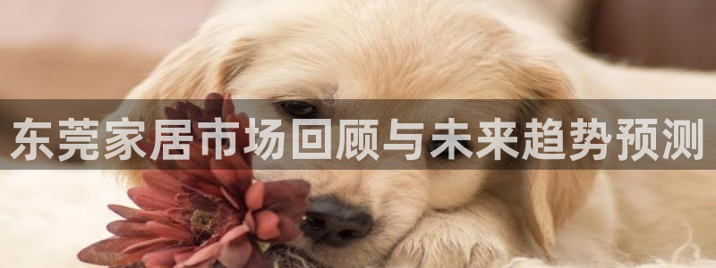 球盟会黑款吗还是白款