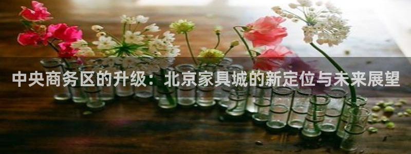 球盟会官方下载