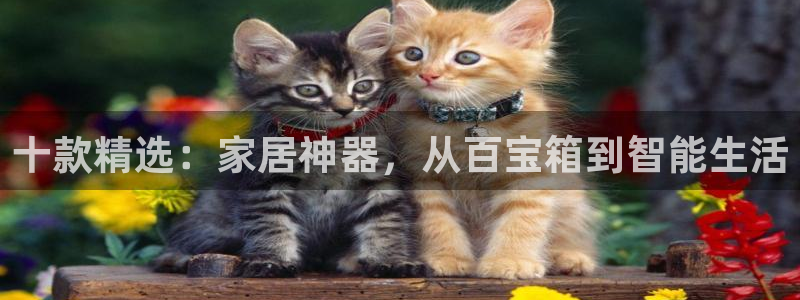 球盟会官网入口