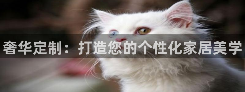 球盟会优惠领取网站是真的吗