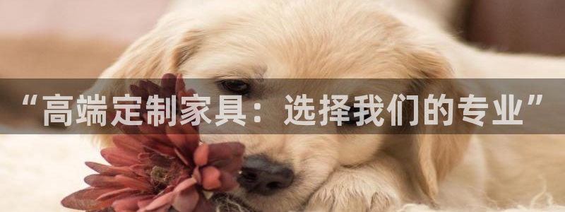 球盟会黑台子吗