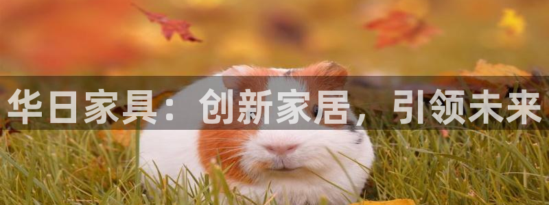 球盟会娱乐平台