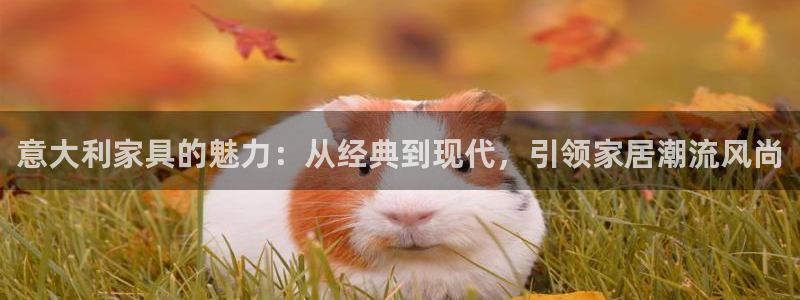 球盟会网址多少