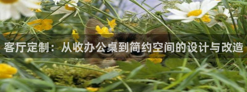 球盟会官方最新入口