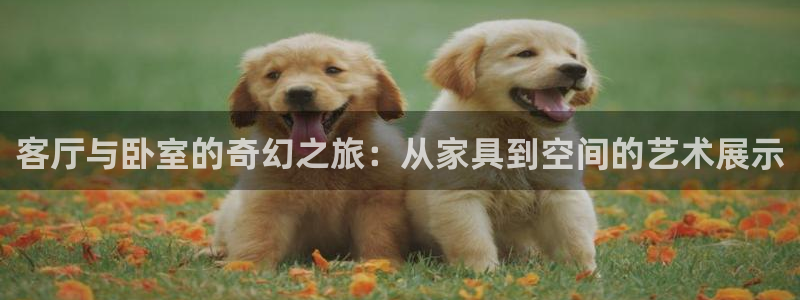 球盟会登录入口