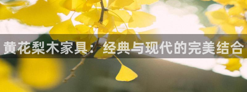 球盟会官方登录平台入口